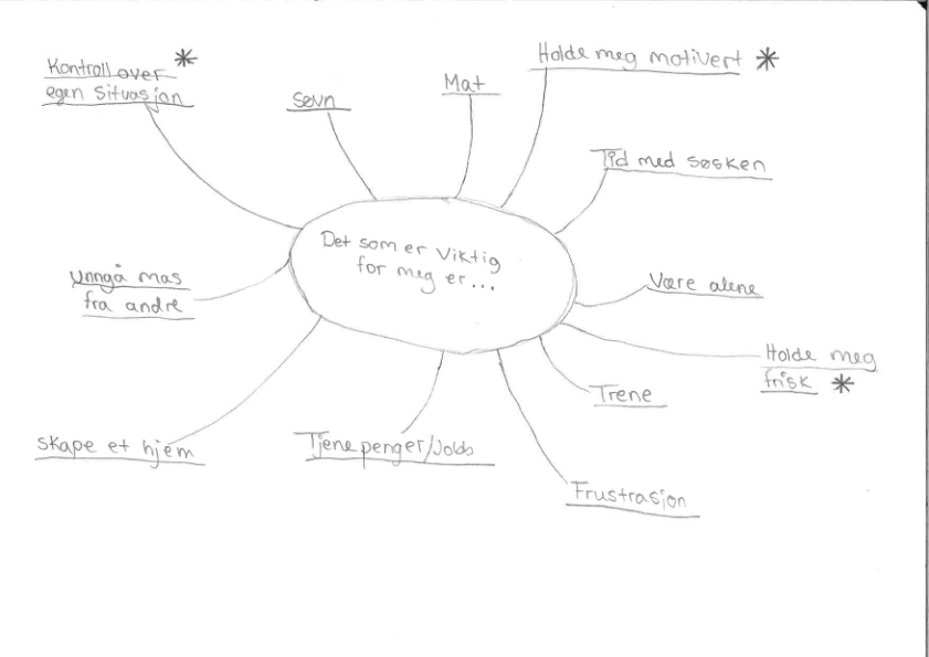 Eksempel på hvordan en soloppgave kan se ut