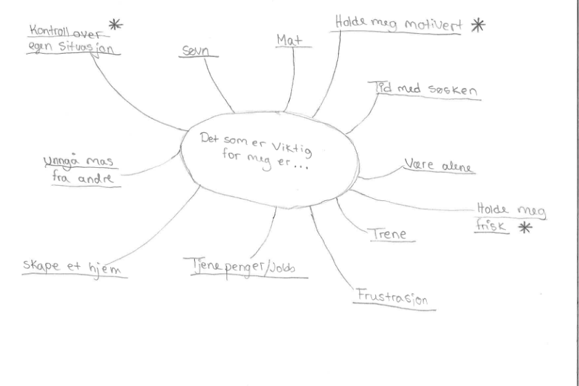 Eksempel på hvordan en soloppgave kan se ut