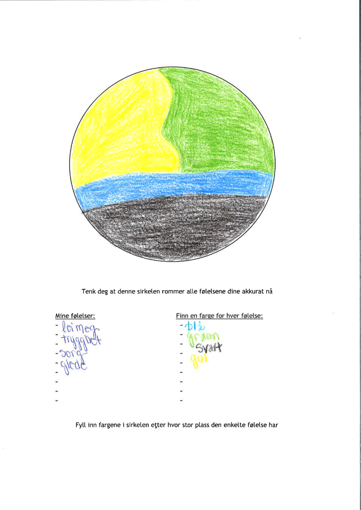 Eksempel på en følelsessirkel fra en tidligere deltager