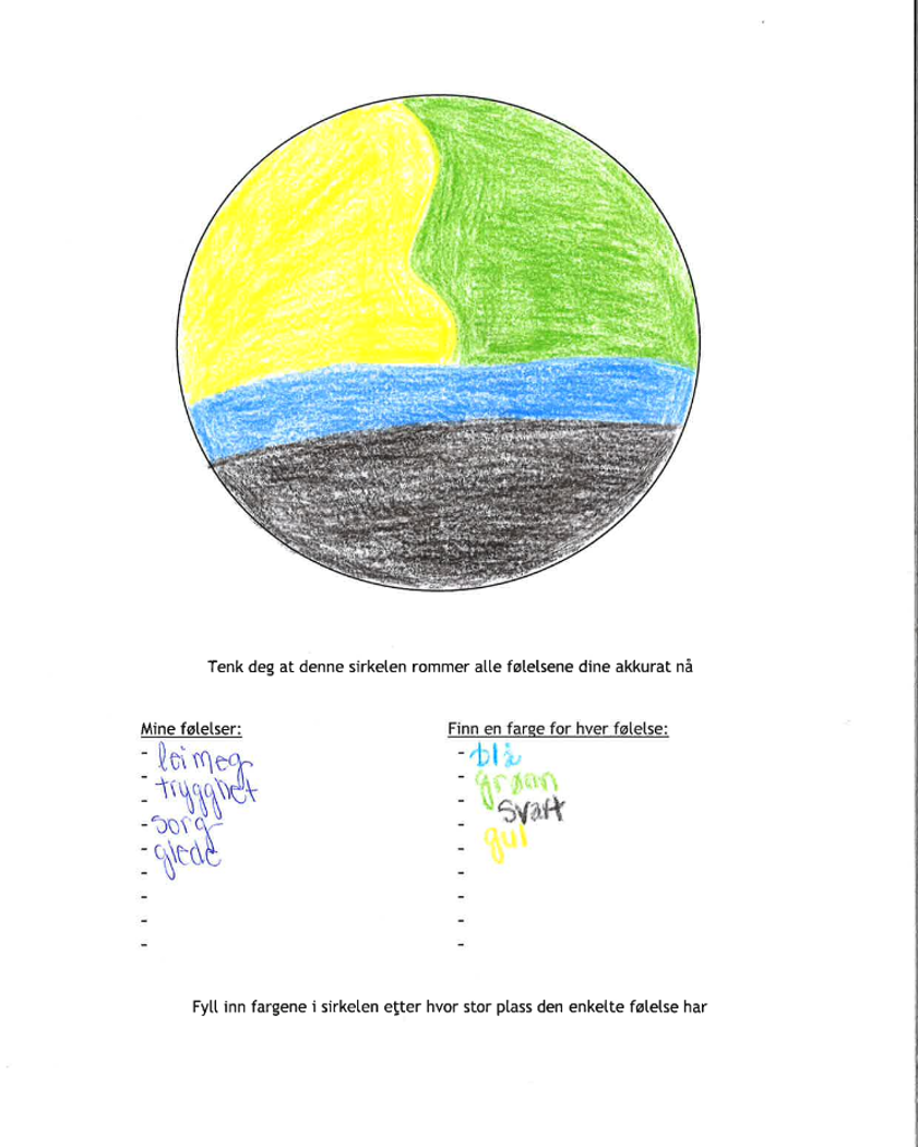 Eksempel på en følelsessirkel fra en tidligere deltager