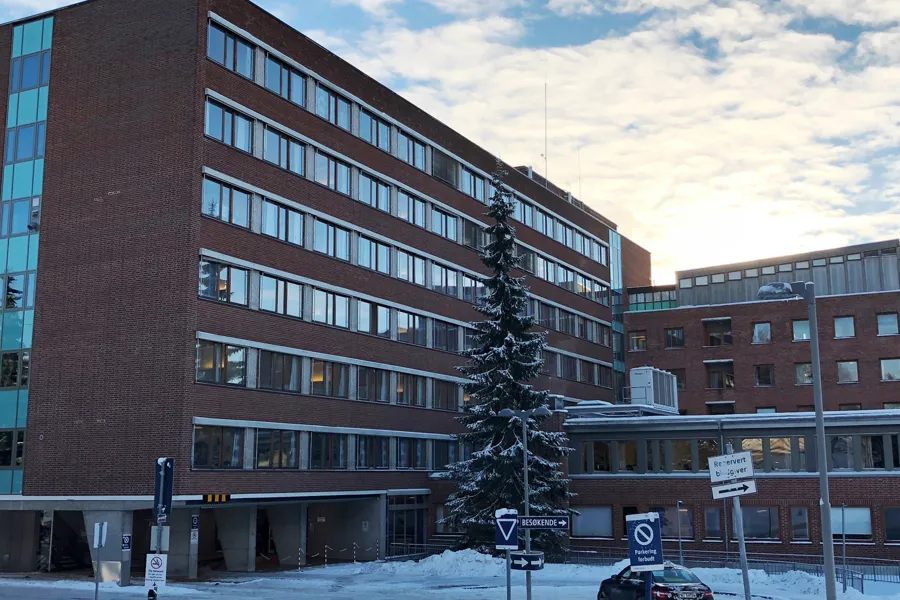 A building with a tree in front