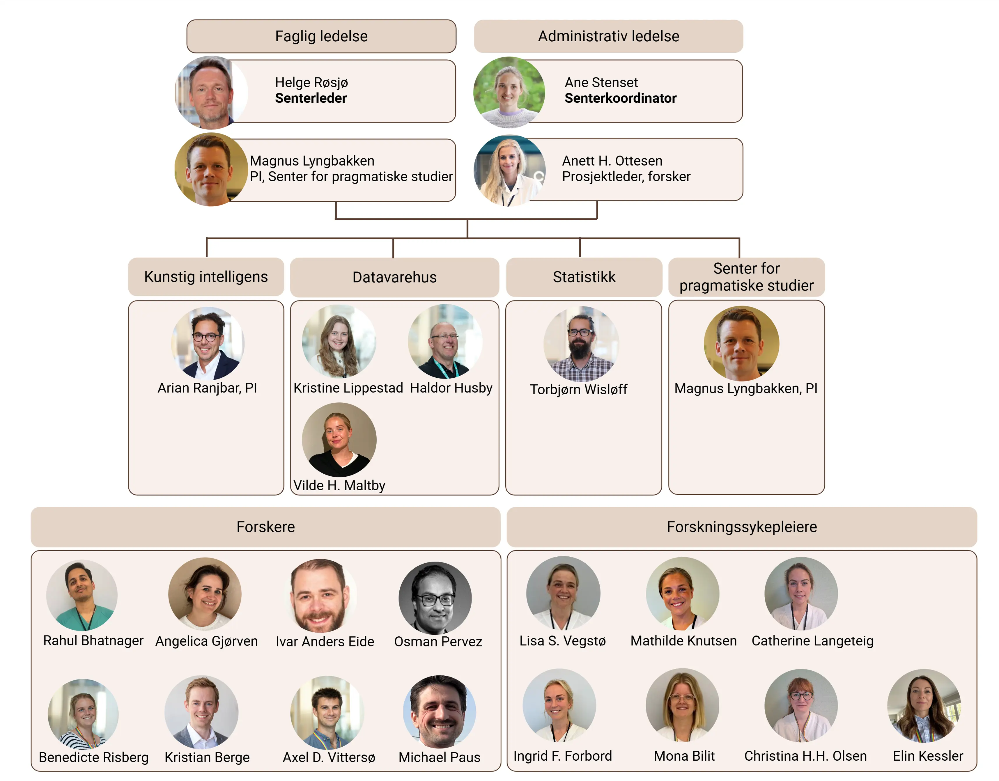 Illustrasjon av organiseringen. Faglig ledelse og administrativ ledelse på topp, likestilt. Under de e
