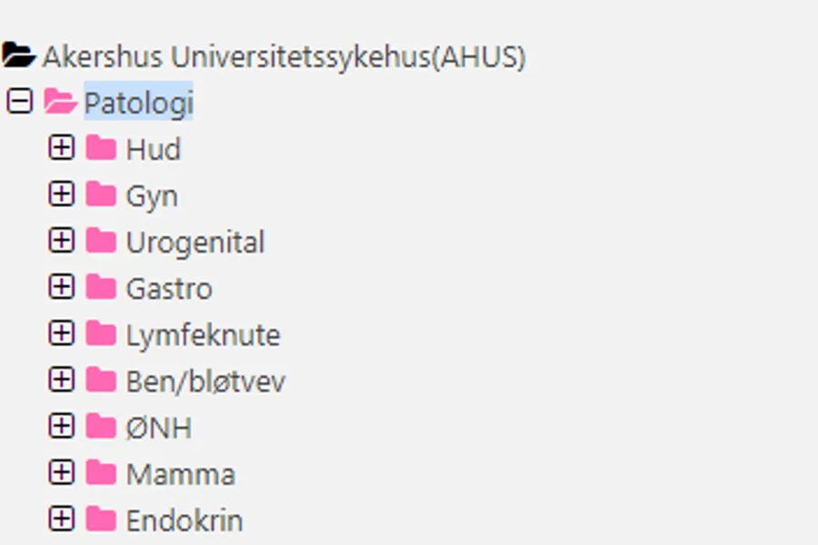 Grafisk brukergrensesnitt, tekst, applikasjon