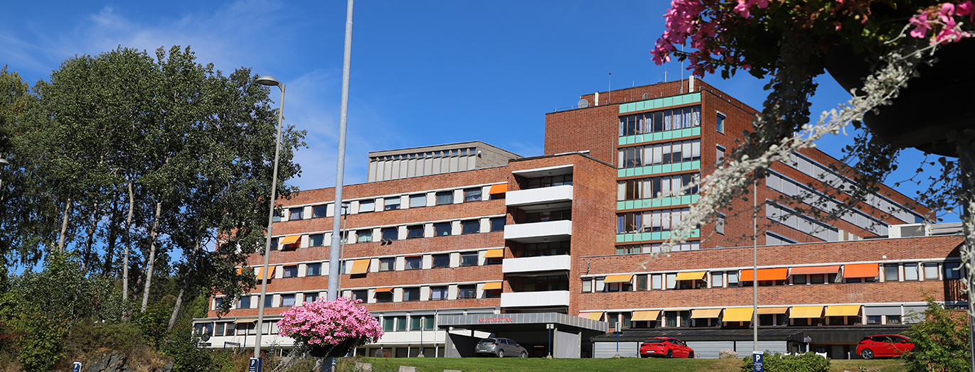 En bygning med biler parkert foran