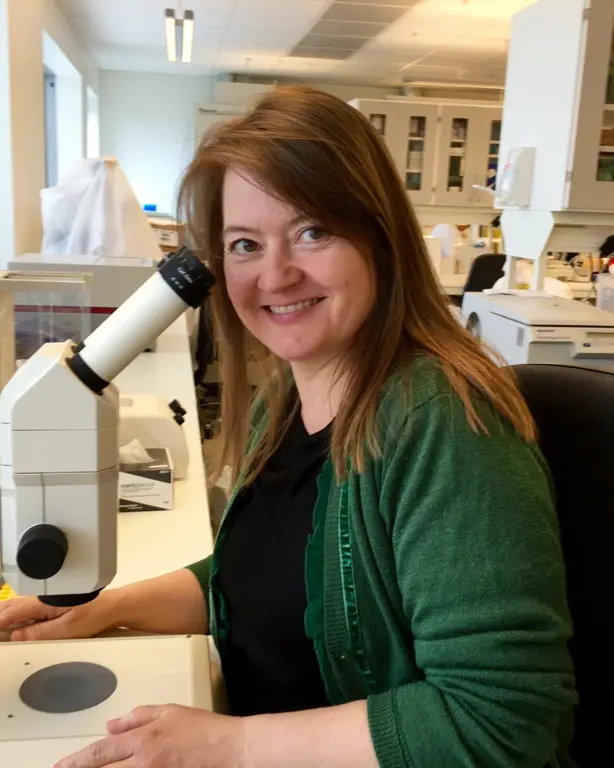 Professor Hilde Nilsen