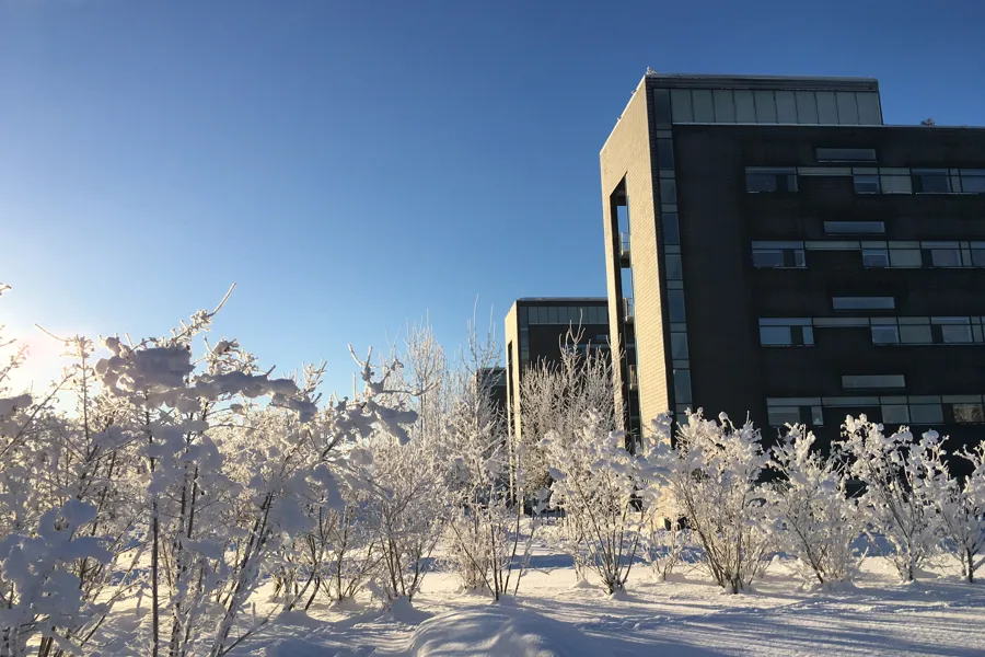 Ahus vinter
