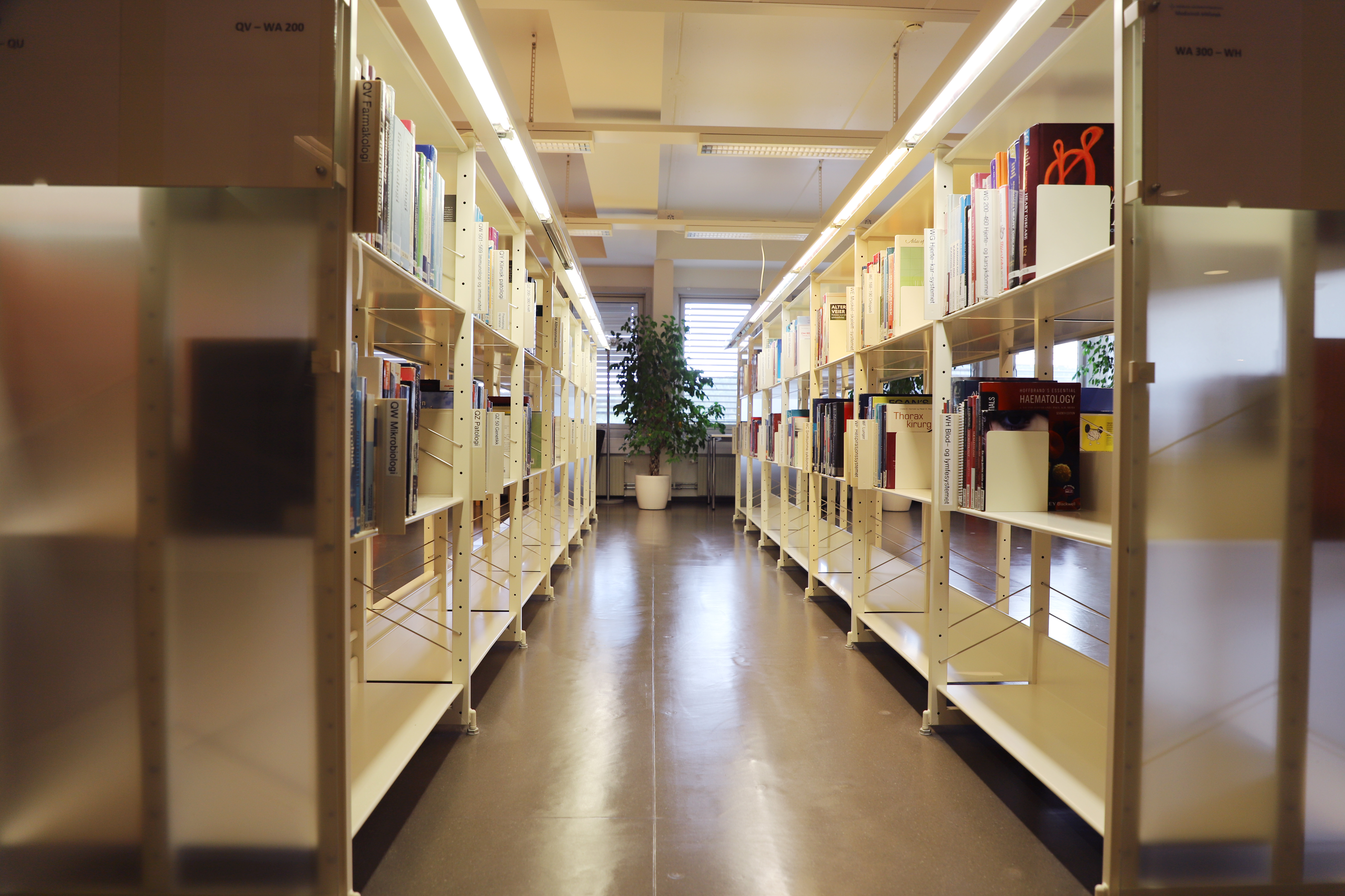 En lang gang med hyller