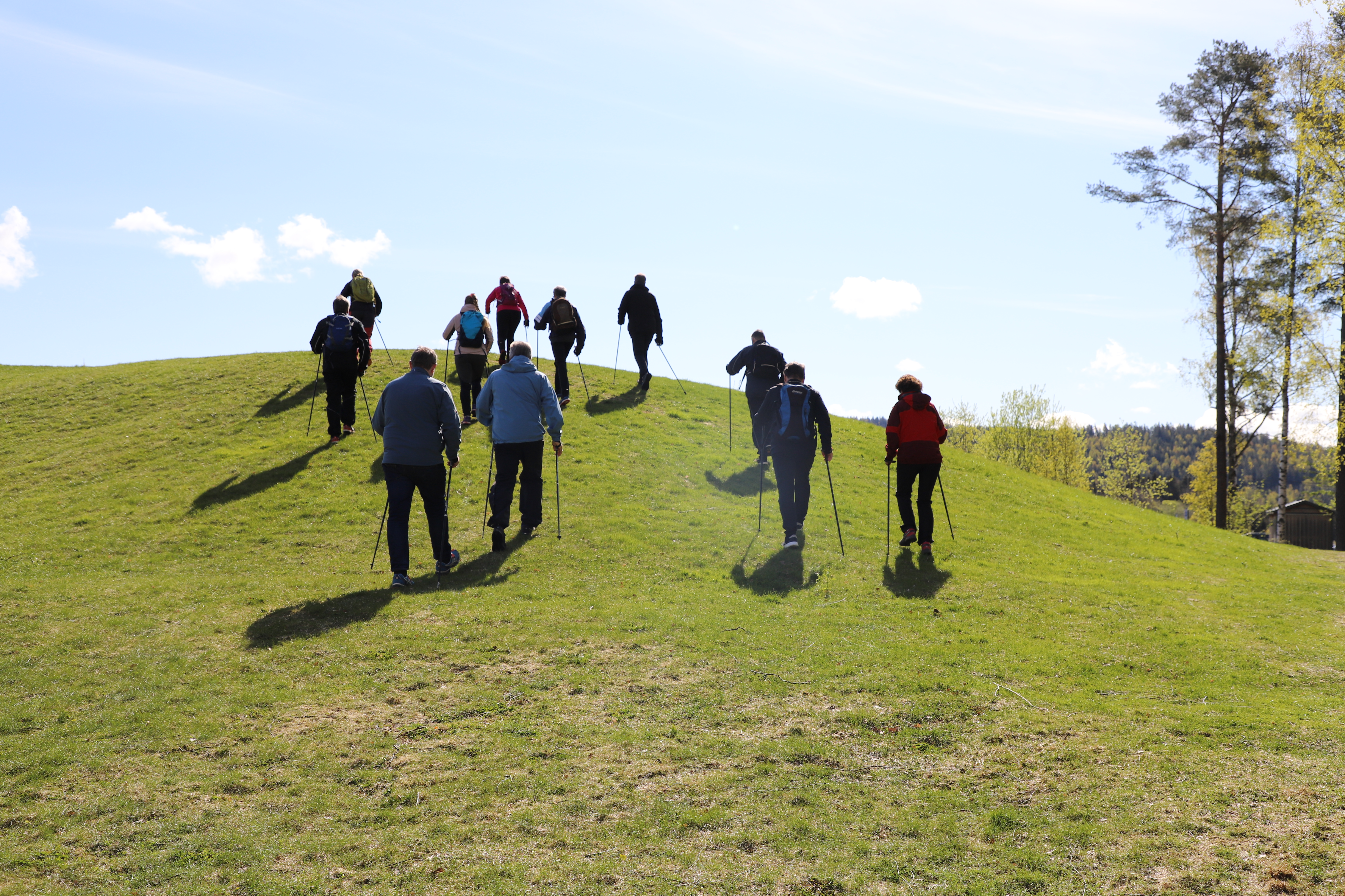 Deltakere Hjerteskolen stavgang opp bakken