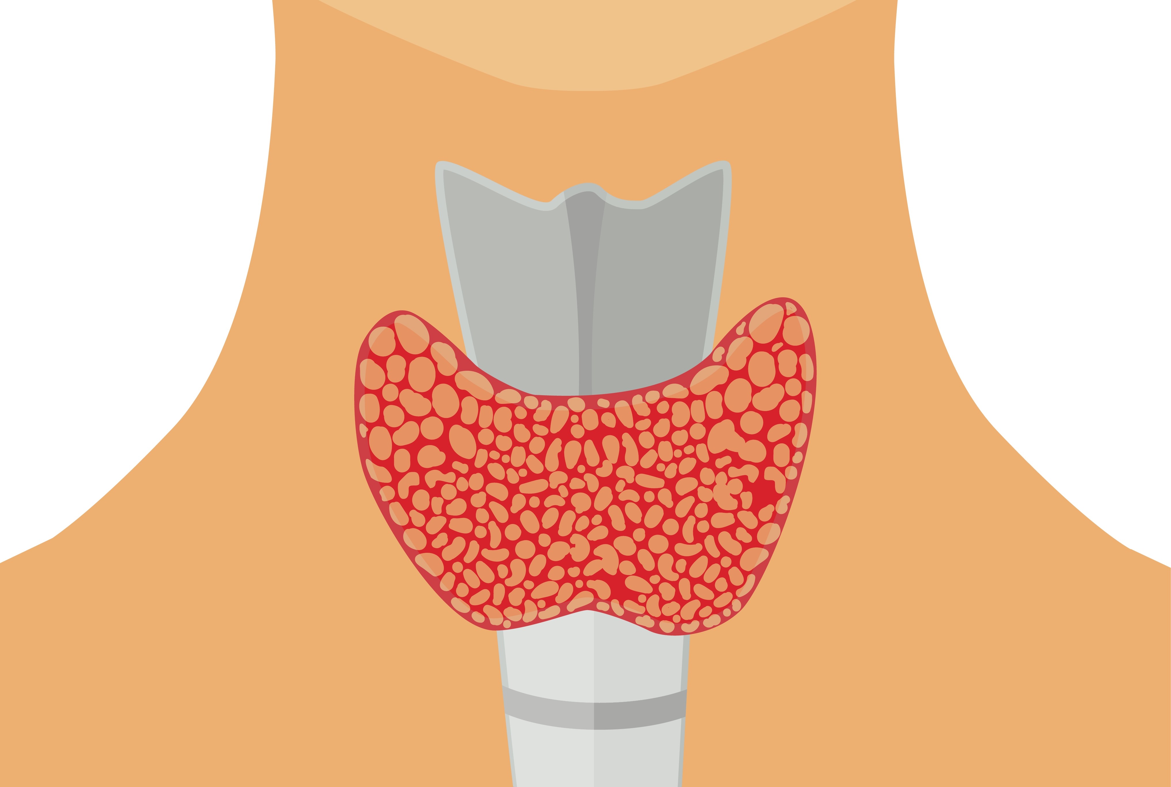 En person som holder en hjerteformet gjenstand