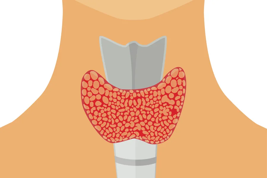 En person som holder en hjerteformet gjenstand