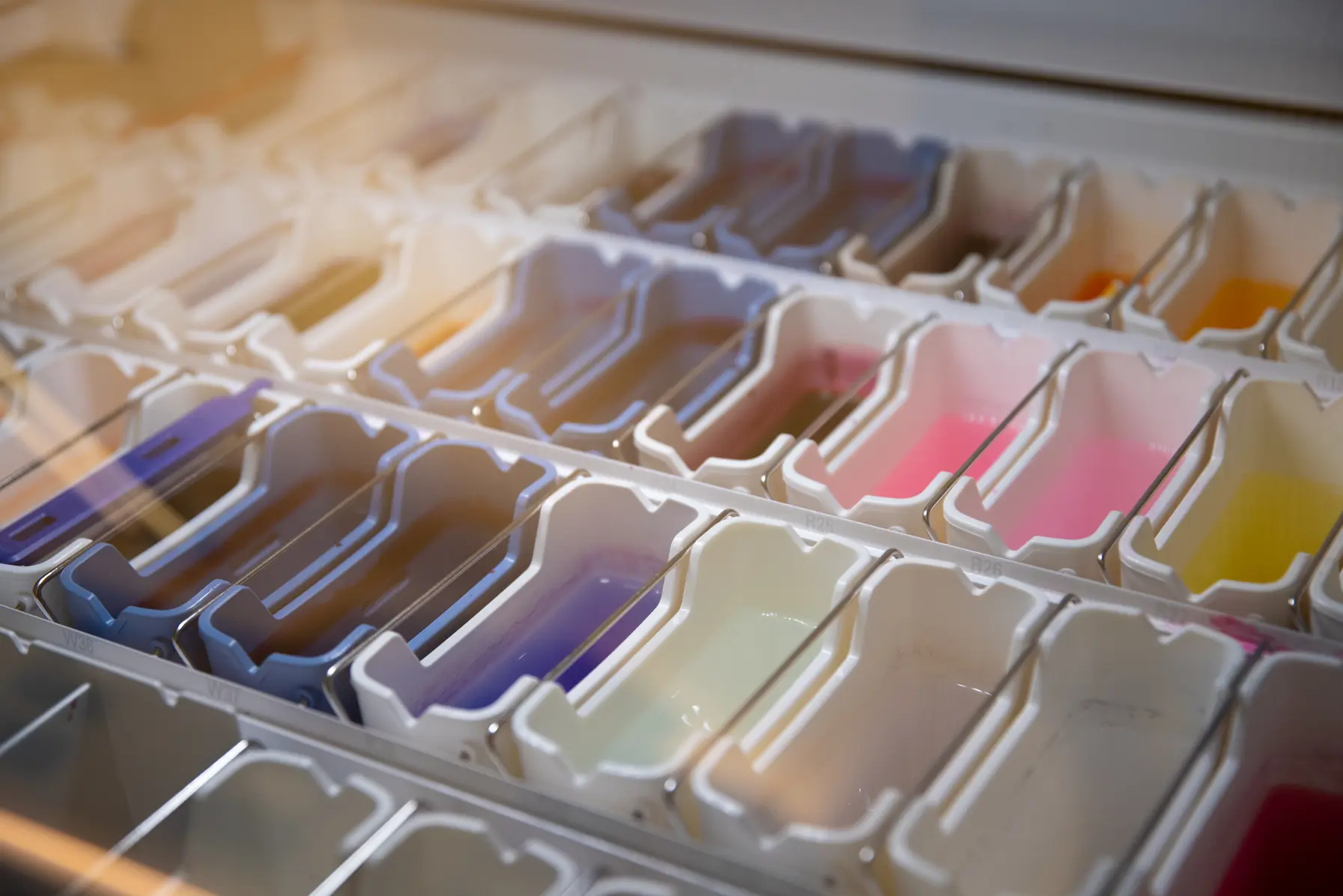 Vevsprøver blir farget