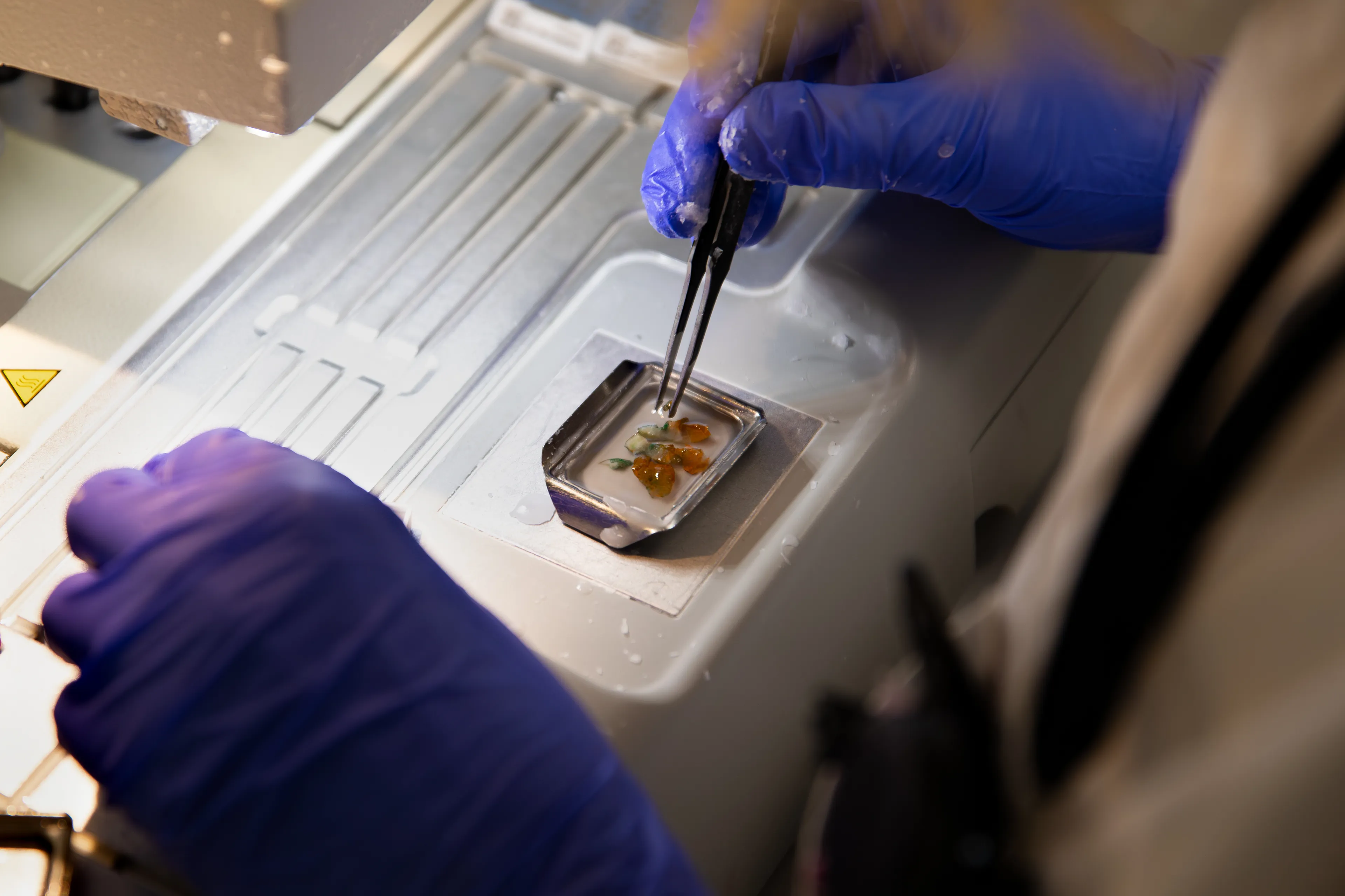 Vevsprøver støpes i parafin