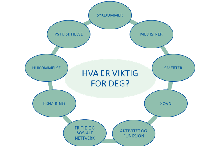 Grafisk fremstilling av IHT-sirkelen. I midten er det en sirkel hvor det står "hva er viktig for deg?". I mange små sirkler rundt den i midten står det "sykdommer", "medisiner", "smerter", "søvn", "aktivitet og funksjon", "fritid og sosialt nettverk", "ernæring", "hukommelse", "psykisk helse", "sykdommer".